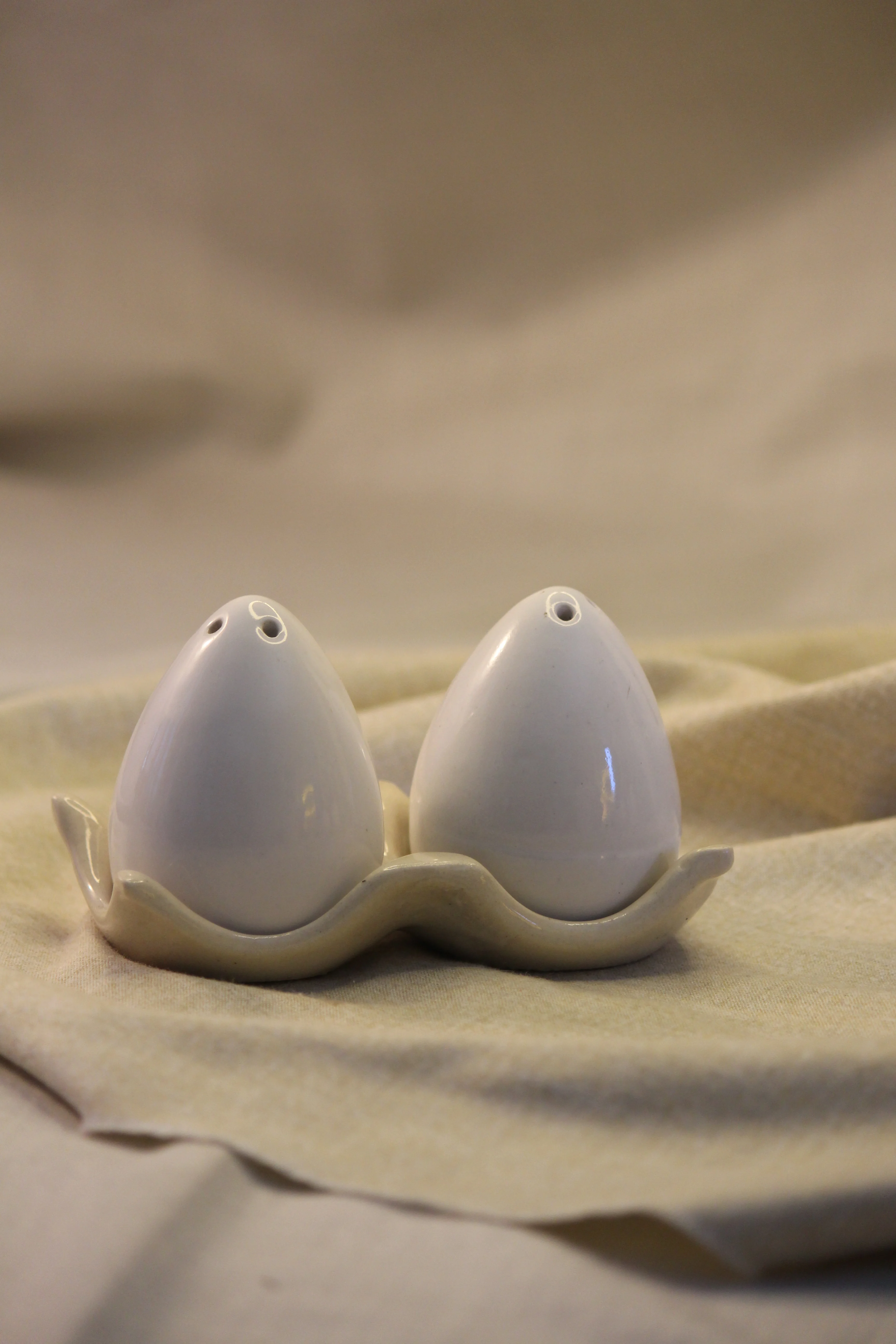 Ceramic Salt and Pepper Shakers Set