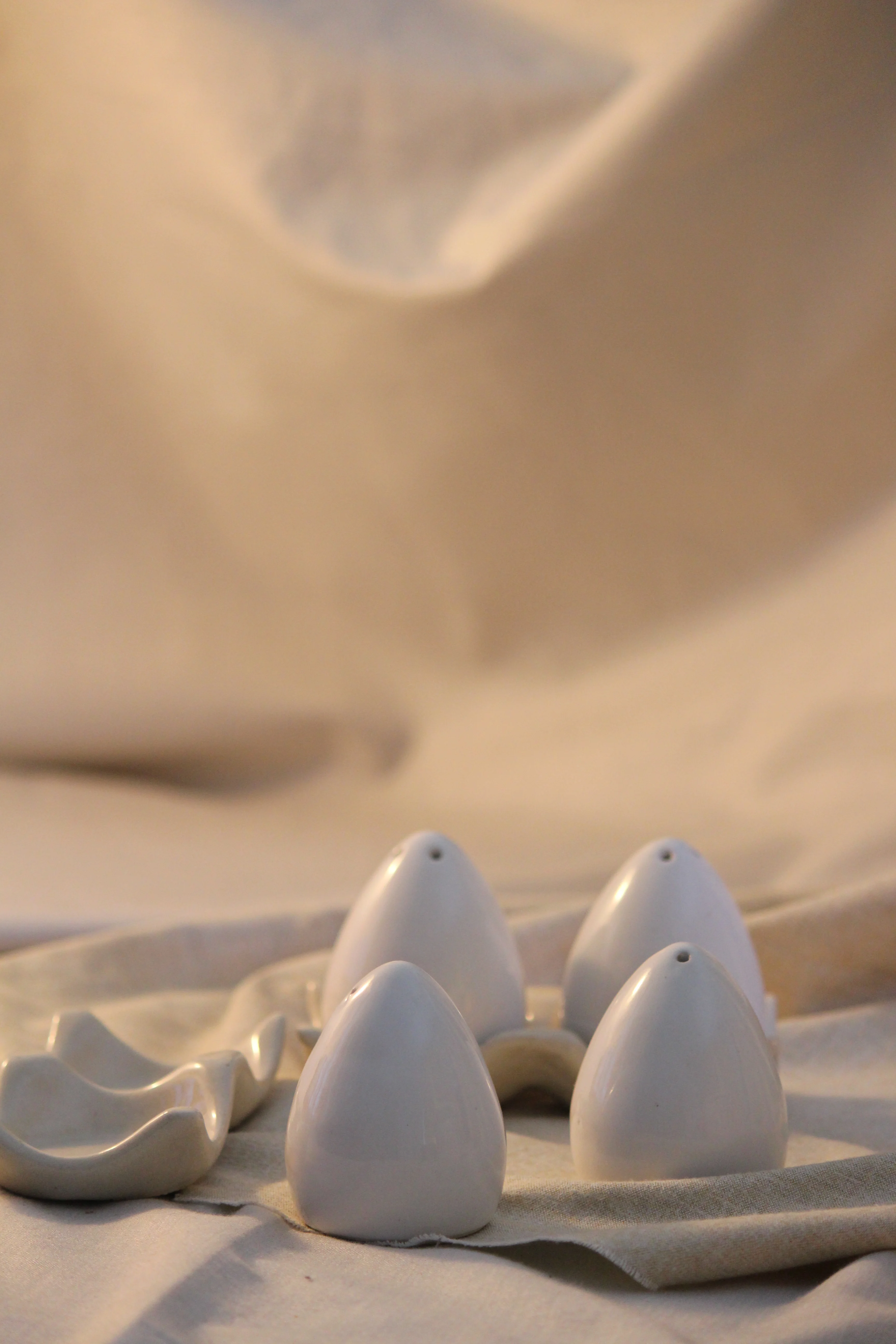 Ceramic Salt and Pepper Shakers Set