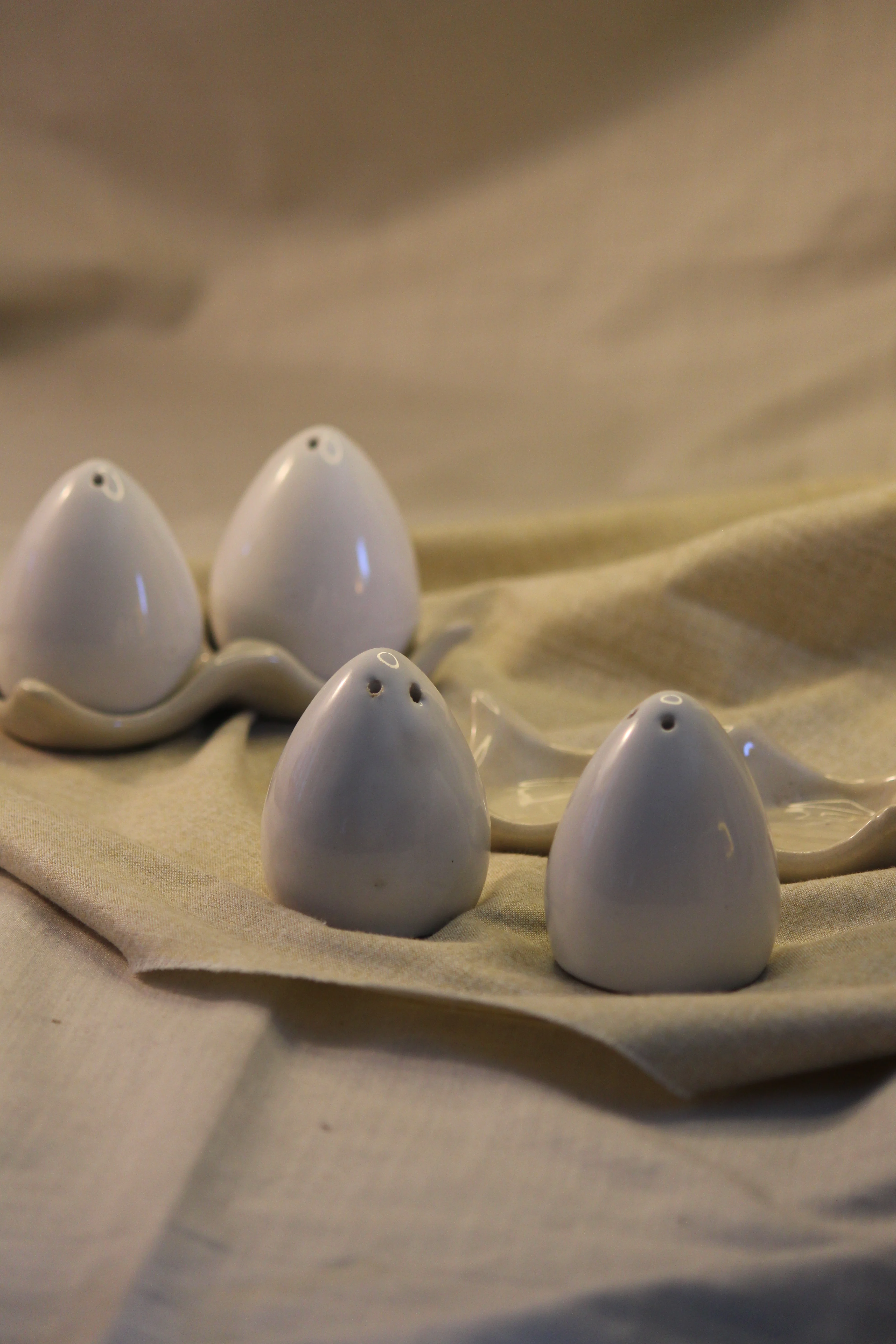 Ceramic Salt and Pepper Shakers Set
