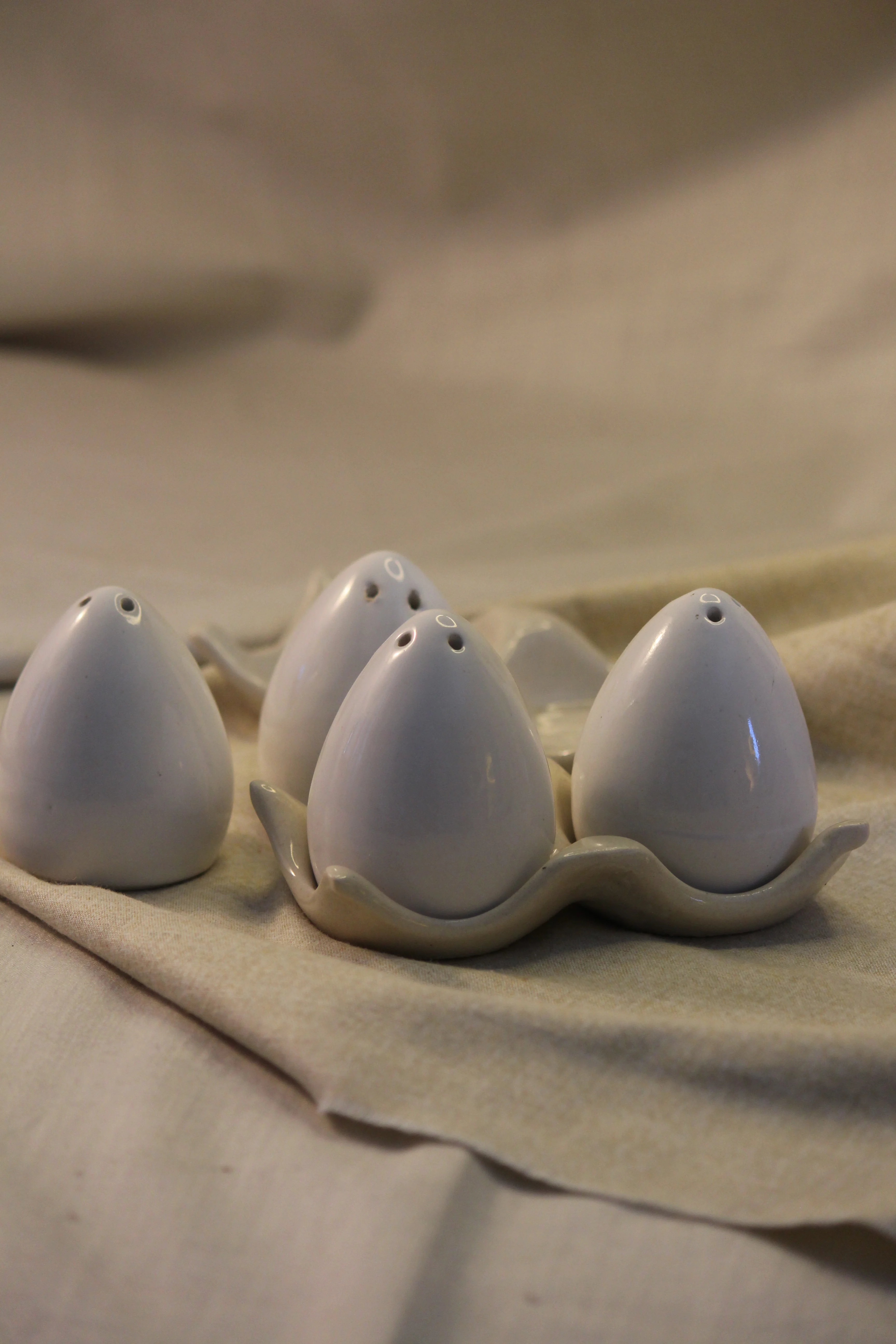 Ceramic Salt and Pepper Shakers Set